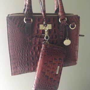 Brahmin Pecan Handbag and Wallet
